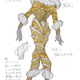 Illustration for article titled Style Alert: emBayonetta/ems Costume Designer Made These Fetching emSoulcalibur V/em Looks